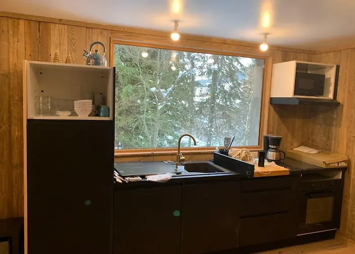 4/5 Pers Prox Pistes La Tania/courchevel Appartement *